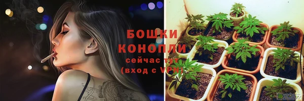 ГАЛЛЮЦИНОГЕННЫЕ ГРИБЫ Михайлов