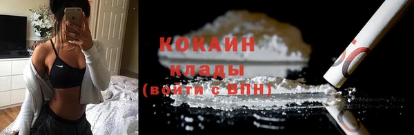 ГАЛЛЮЦИНОГЕННЫЕ ГРИБЫ Михайлов