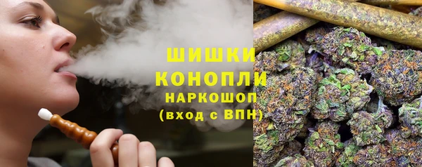 ГАЛЛЮЦИНОГЕННЫЕ ГРИБЫ Михайлов