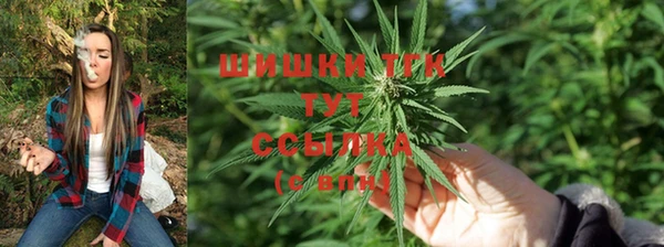 скорость Михайловск